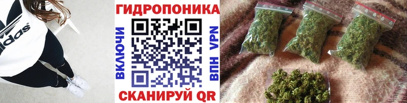 МЕГА вход Данков Каннабис индика